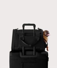Kyoto Pet Carrier